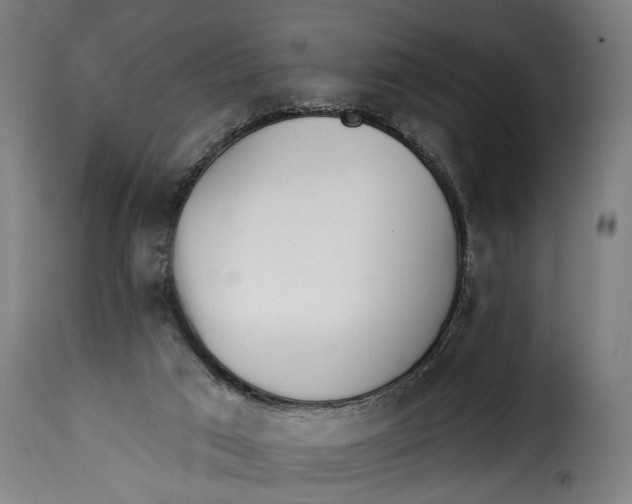 X0000115230017200911201608