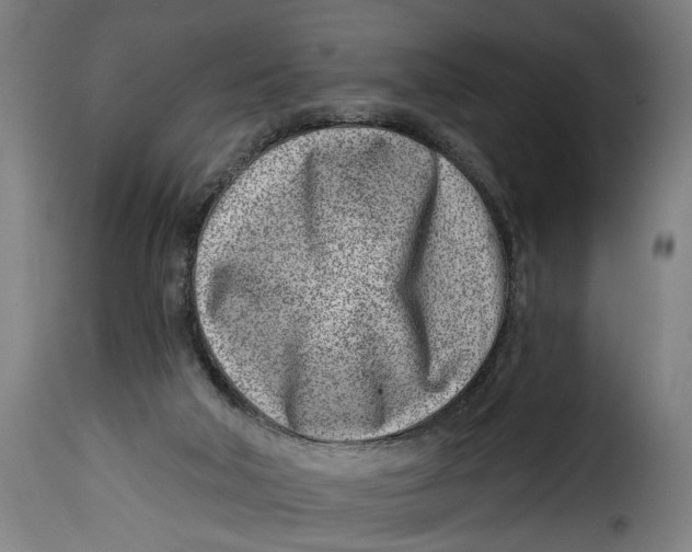 X0000115230018200911201608