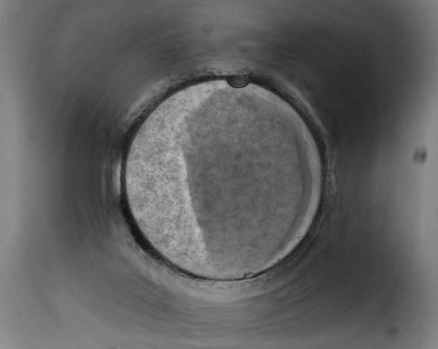 X0000115230019200911201608