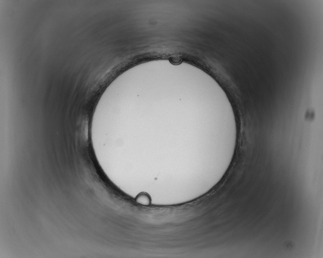 X0000115230021200911201608