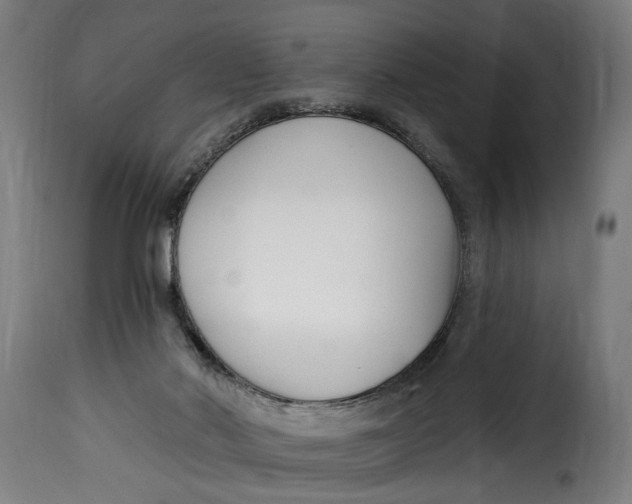 X0000115230022200911201608