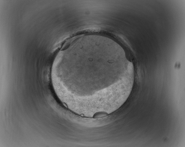 X0000115230023200911201608