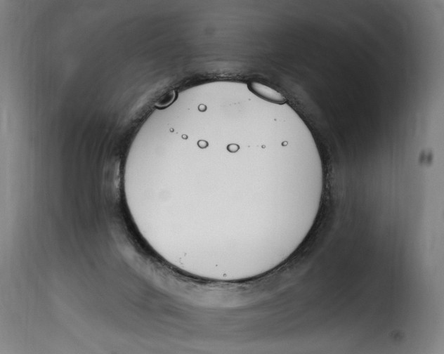 X0000115230024200911201608