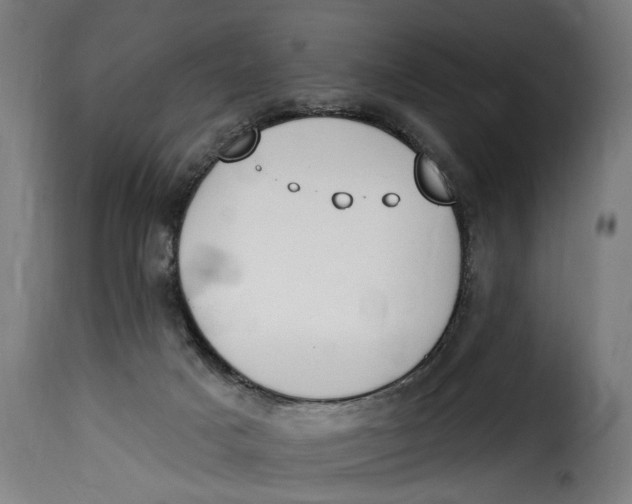 X0000115230025200911201608