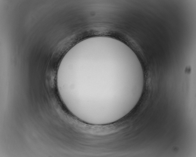 X0000115230026200911201608