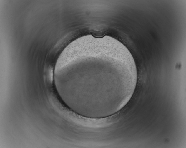 X0000115230027200911201608