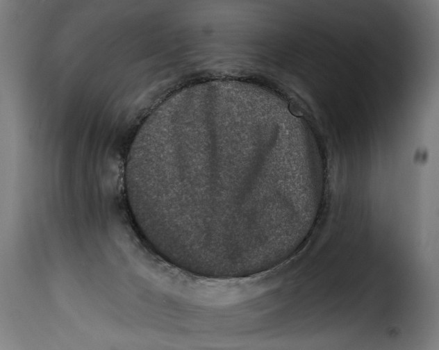 X0000115230029200911201608