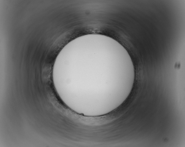 X0000115230030200911201608