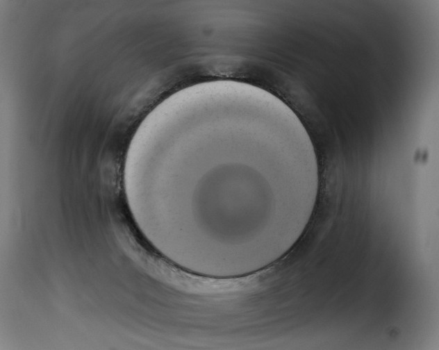 X0000115230031200911201608