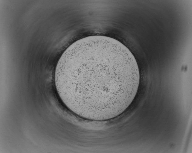 X0000115230032200911201608