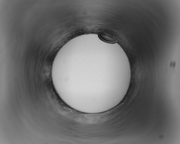 X0000115230033200911201608