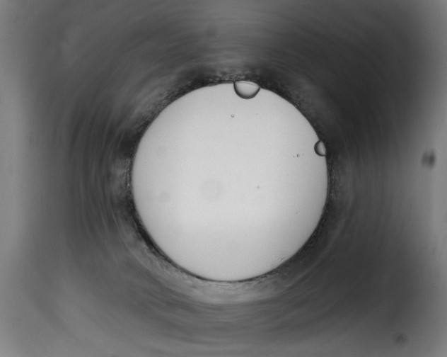 X0000115230034200911201608