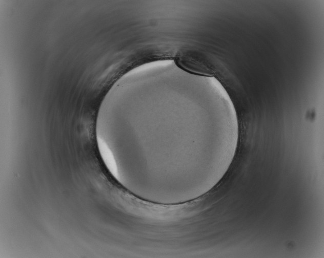 X0000115230035200911201608