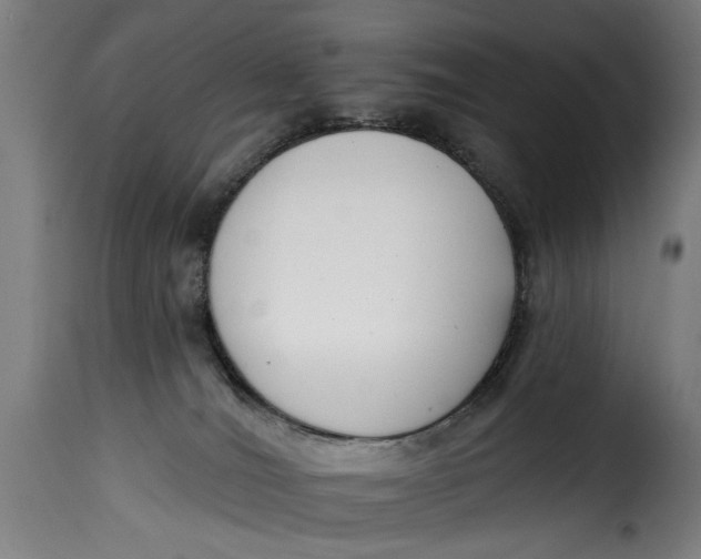 X0000115230036200911201608