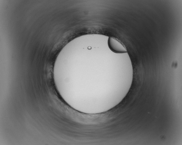 X0000115230038200911201608