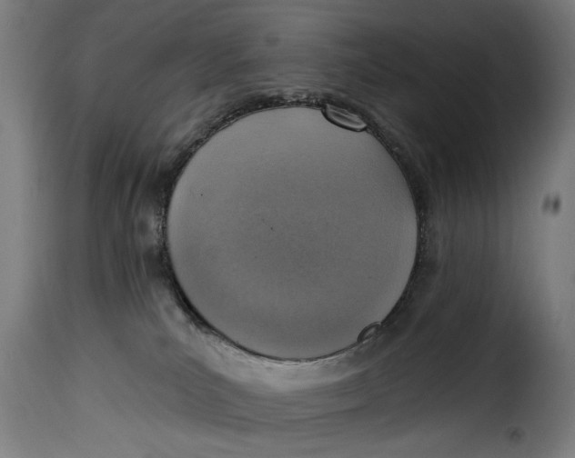 X0000115230039200911201608