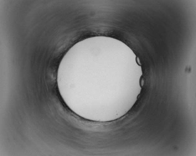 X0000115230040200911201608