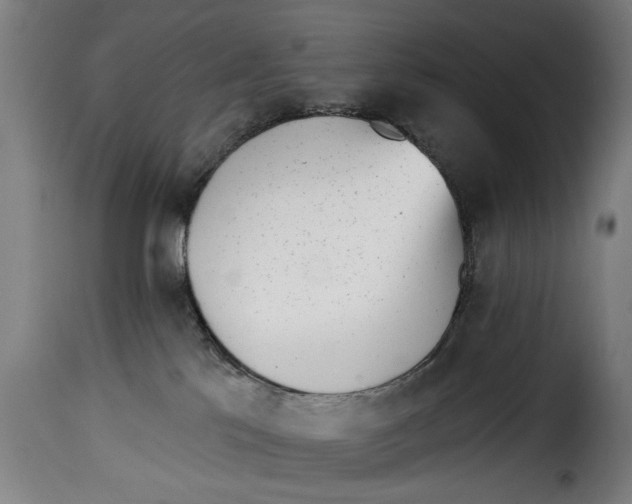 X0000115230041200911201608