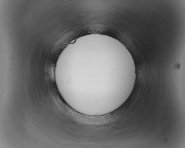 X0000115230042200911201608