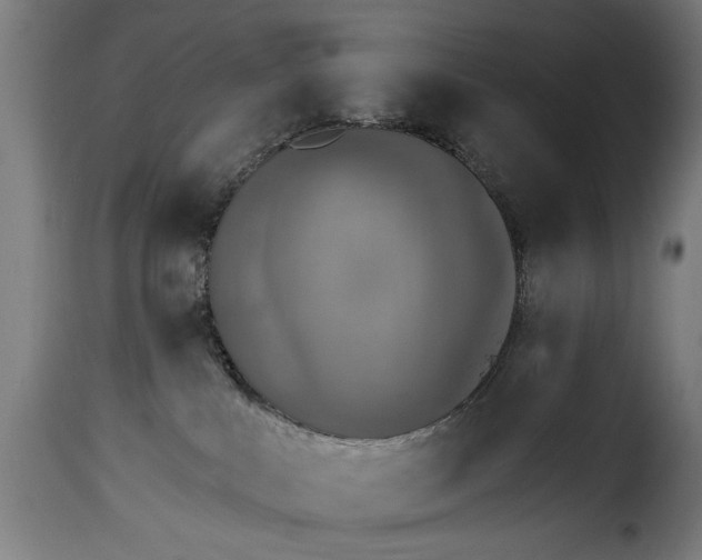 X0000115230043200911201608