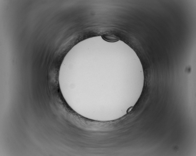 X0000115230044200911201608