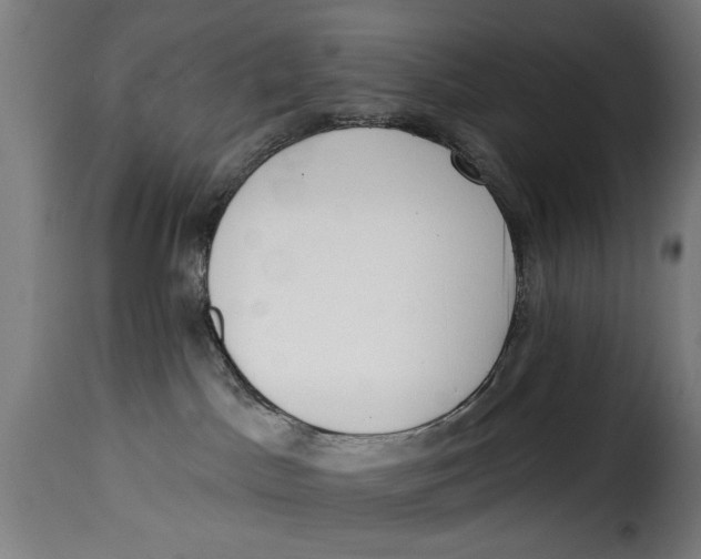 X0000115230045200911201608