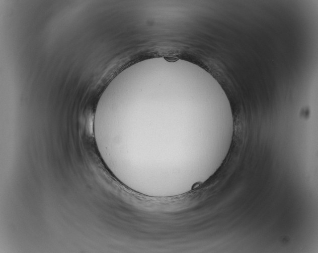 X0000115230046200911201608