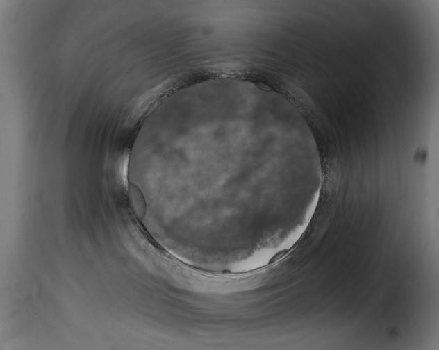 X0000115230047200911201608