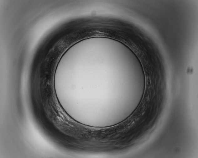 X0000115230050200911201607