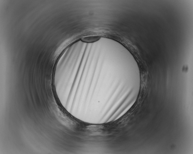 X0000115230051200911201607