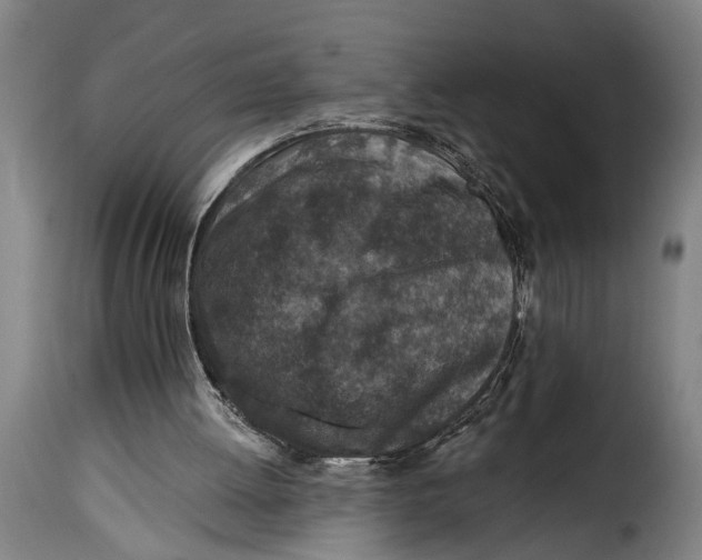 X0000115230052200911201607