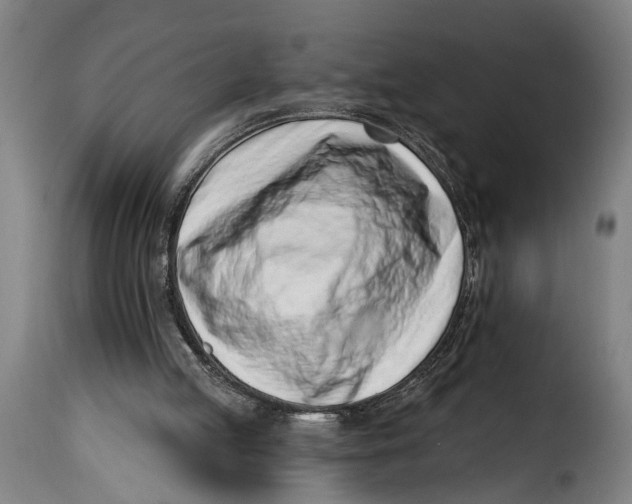 X0000115230053200911201607