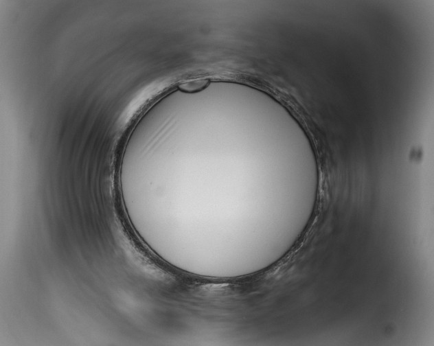 X0000115230054200911201607