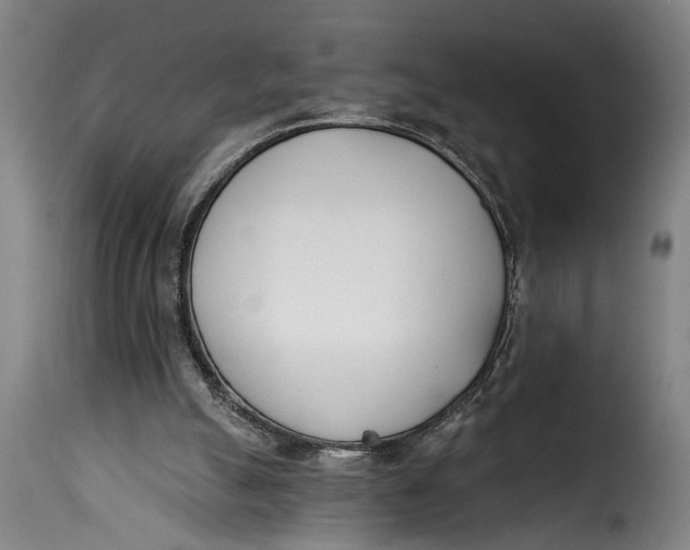 X0000115230055200911201607