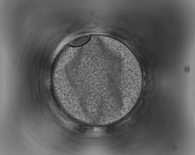 X0000115230056200911201607