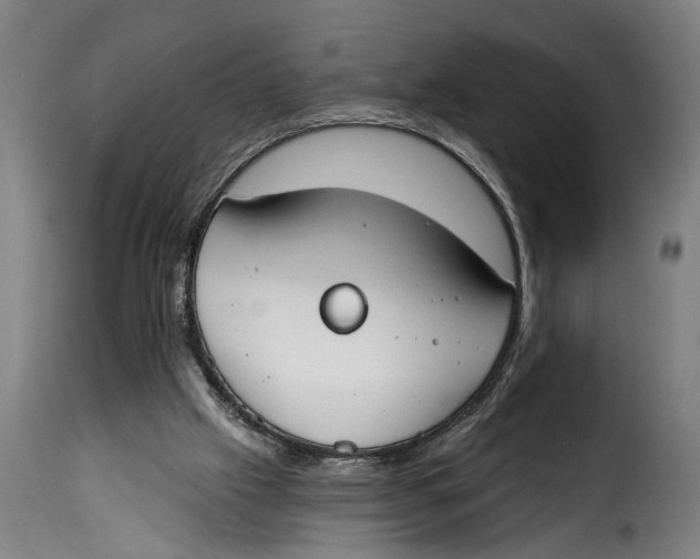 X0000115230057200911201607