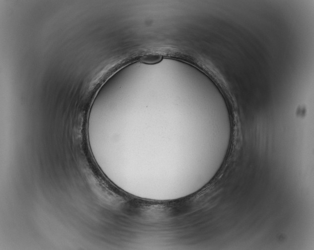 X0000115230058200911201607