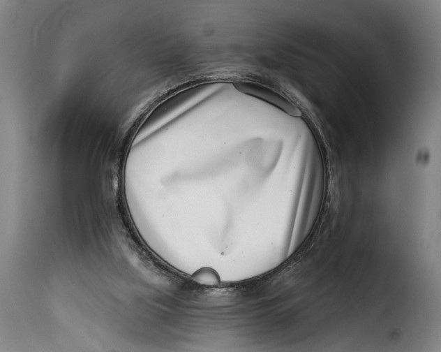 X0000115230059200911201607