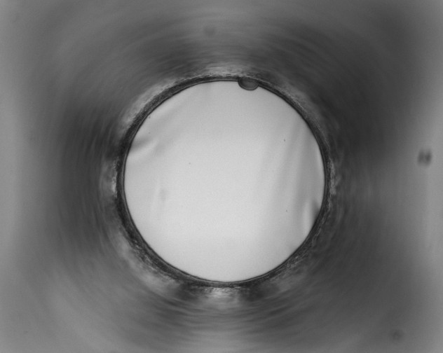 X0000115230060200911201607