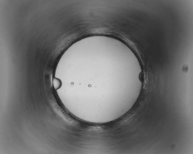 X0000115230061200911201607