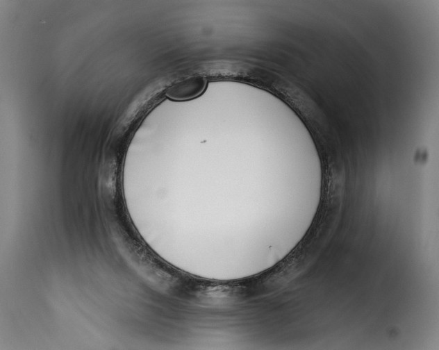 X0000115230064200911201607