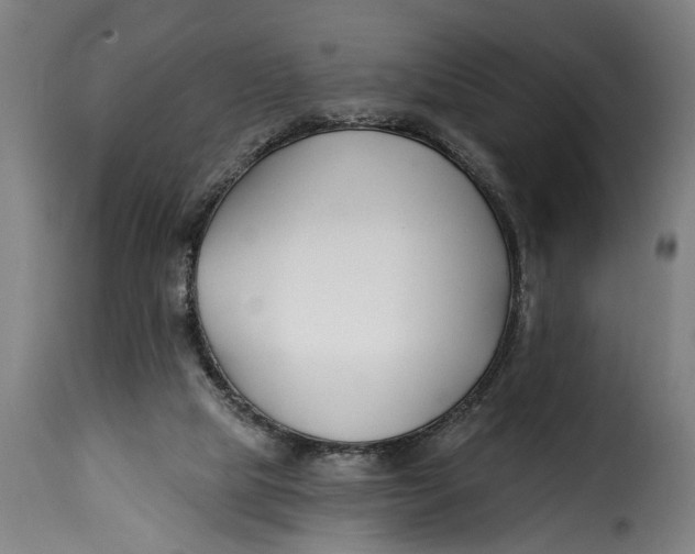 X0000115230065200911201607