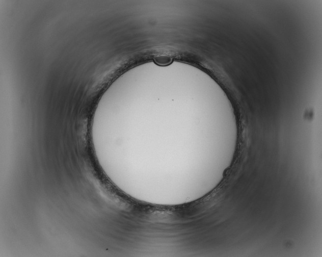 X0000115230066200911201607