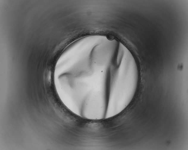 X0000115230067200911201607