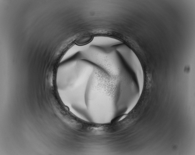 X0000115230068200911201607