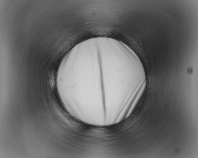 X0000115230069200911201607