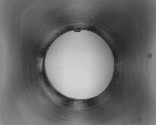 X0000115230070200911201607