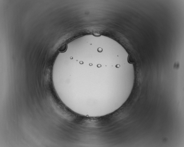 X0000115230071200911201607