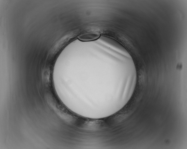 X0000115230072200911201607