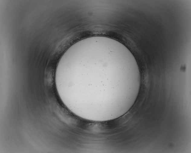 X0000115230074200911201607